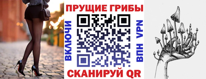 Галлюциногенные грибы Cubensis  KRAKEN   Кумертау 